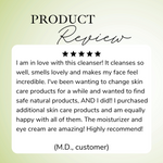 Clean Slate Antioxidant Facial Cleanser