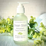 Clean Slate Antioxidant Facial Cleanser